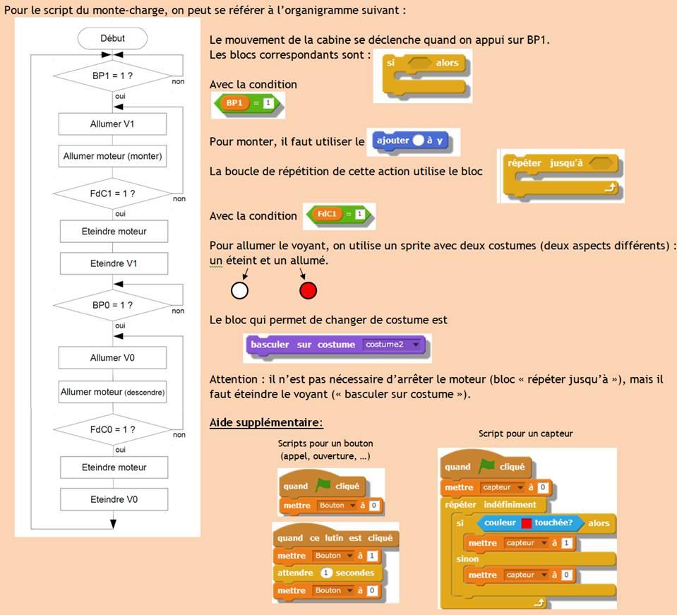 orgex2.png